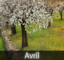 Avril venteux rend le laboureur joyeux.